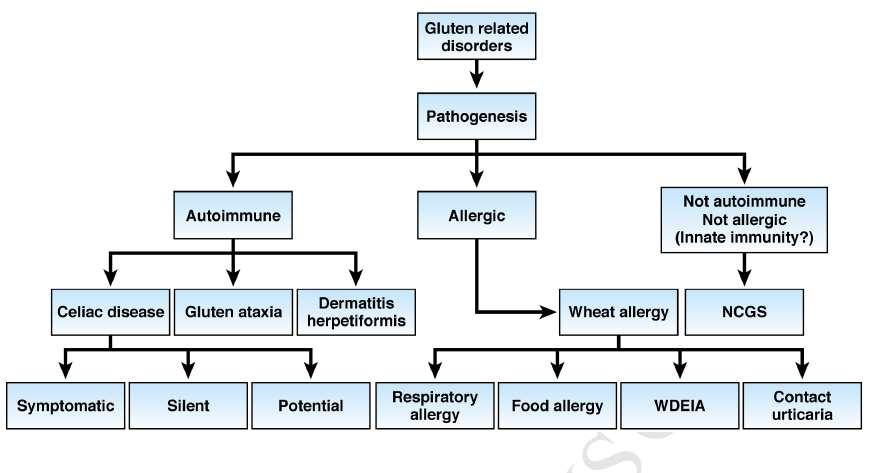 A gluten indukálta betegségek osztályozása WDEIA = wheat