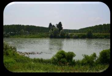 Vízminőség védelem üledékek, tápanyagok,