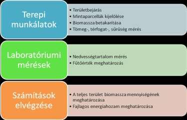 NEM KONVENCIONÁLIS BIOMASSZA FORRÁSOK FELMÉRÉSÉSÉRE SZOL- GÁLÓ EGYEDI MÓDSZER KIDOLGOZÁSA VITYI ANDREA VÁGVÖLGYI ANDREA CZUPY IMRE Soproni Egyetem, Erdőmérnöki Kar, Erdészeti-műszaki és