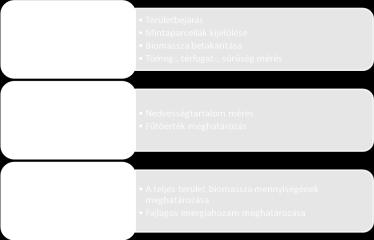 A decentralizált energiatermelésben a tüzeléstechnikai célra felhasználható biomassza vertikumban szerepet kap: az erdőből kikerülő szabvány tűzifa, az erdei apadék (vágástéri hulladék, tisztítási,