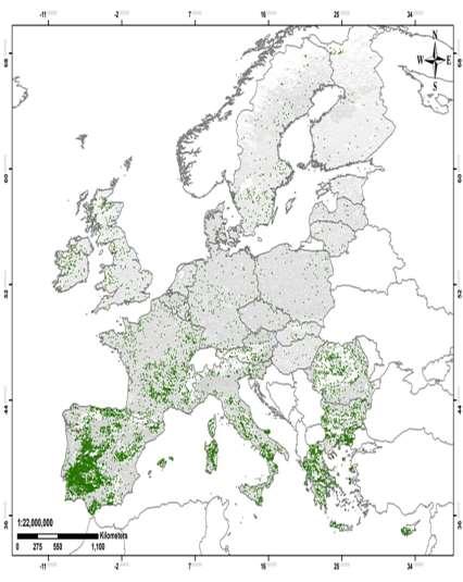 energiahordozóját is elő kellett állítania. Mindezekhez jelentős mennyiségű fát használt, melyet saját maga termesztett. 1.