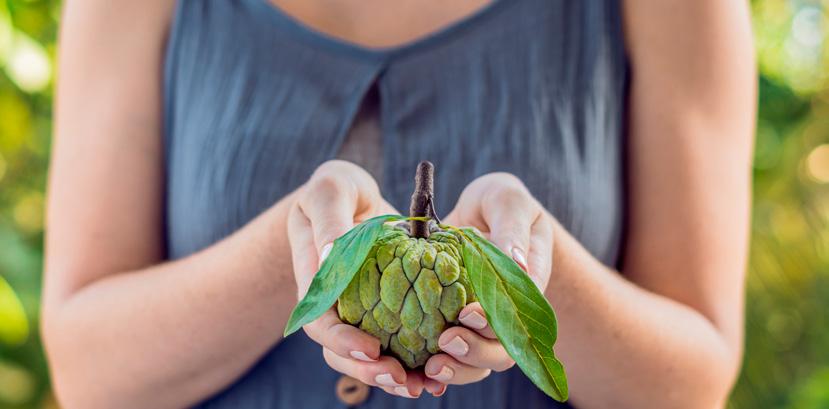 Köszönöm, Annona!
