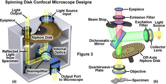 Zeiss: