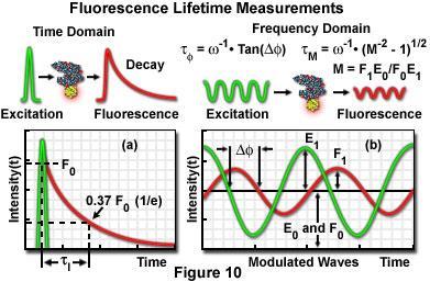 A fluoreszcencia