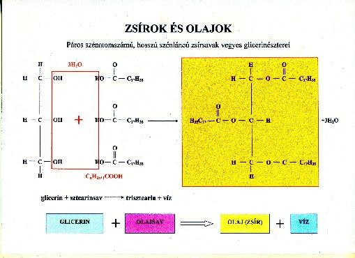 1.) Üzemanyagok Az üzemanyagok szénből és hidrogénből álló paraffin vegyületek. Telített, el nem ágazó, és kettős kötést nem tartalmazó vegyületek.