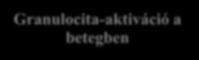 a tárolt vvs/tct készítményben Granulocita-aktiváció a betegben Adhézió a