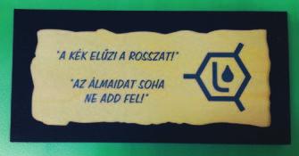 Számomra minden új volt és jogos volt a várakozásom és a látottakra a rácsodálkozásom.