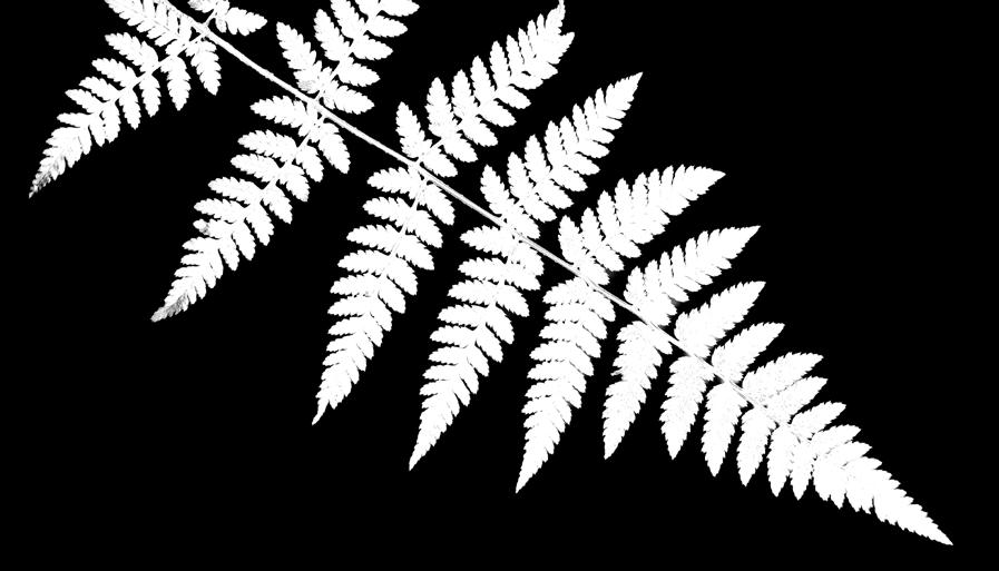 Ezen alapul a Pentagram regeneráció működése, illetve a homeopátia, a bioterápia, valamint olyan készülékek működése, amelyeket világszerte nagy sikerrel használnak a civilizációs betegségek