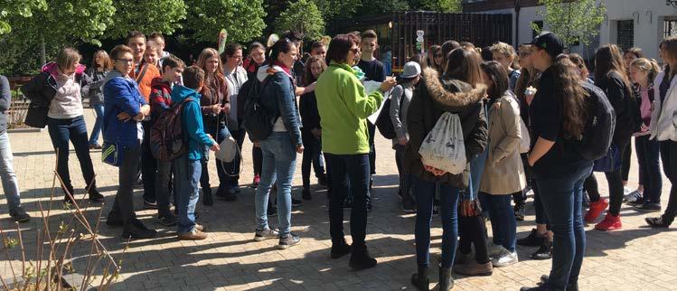 Hogyan kezdődik a nap az Állatkertben? Milyen egy állatorvosi vizit, és vajon hogyan és hol lábadoznak a beteg állatok? Kik az állattrénerek?