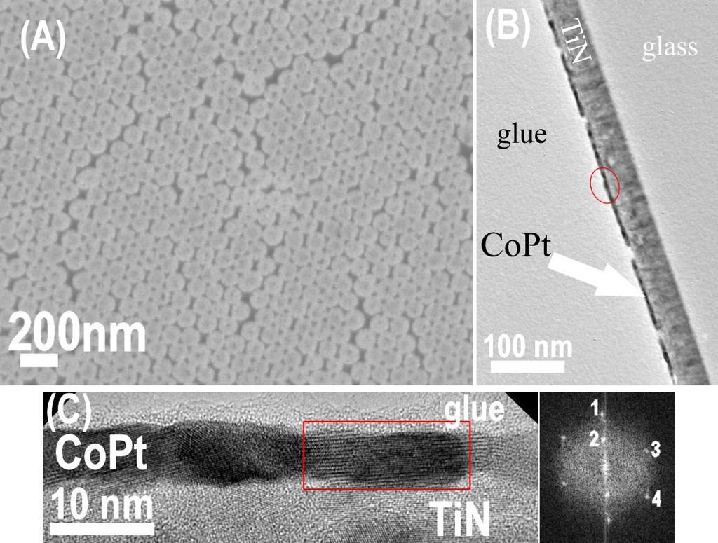 XTEM felvételei. Ezen felül a sikeres hőkezelést alátámasztandó a nanomintázott utóhőkezelt (L10) CoPt réteg HRXTEM felvétele és rétegről készült FFT is látható a 46.