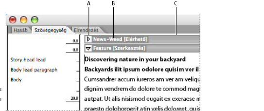INCOPY CS3 37 Több szövegegységet tartalmazó fájlok használata Ha csatolt dokumentumokkal dolgozik, akkor a munkafolyamat-rendszertől függően több InCopy-szöveg is szerepelhet az InDesign-fájlokban.