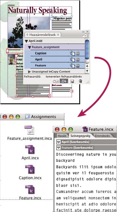 INCOPY CS3 58 felhasználók a hozzárendelésfájl megnyitása után csak az ahhoz hozzárendelt összetevőkön dolgoznak.