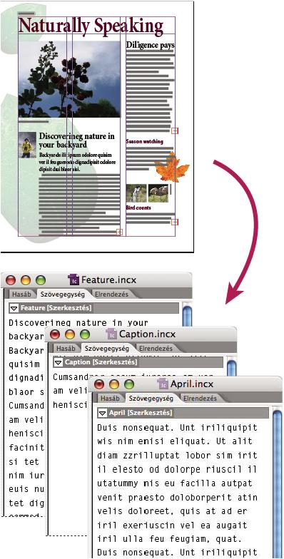 INCOPY CS3 60 A három csatolt, de nem hozzárendelt tartalomfájlból (.