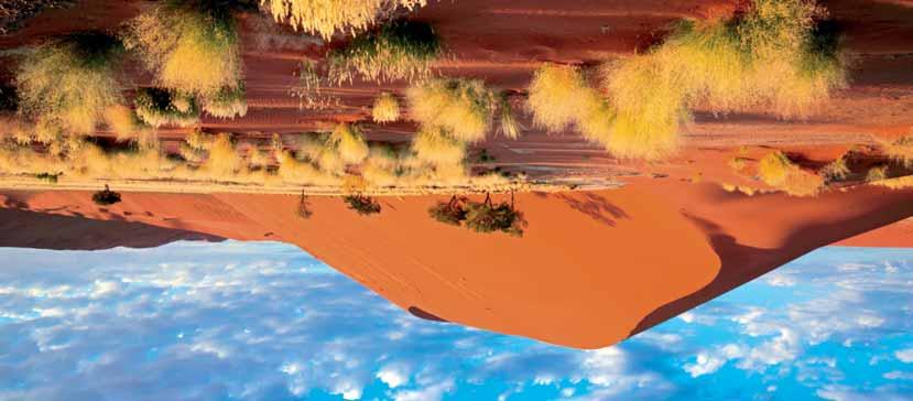 2018. 12.05. 17 Namib-sivatag Namíbia, Botswana, Zimbabwe körutazás A Namib-sivatagtól a Viktória vízesésig 1-2.