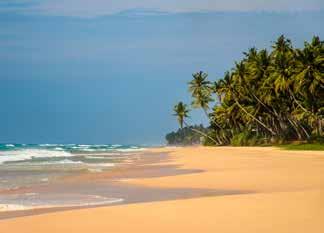 Legyen szó tengerparti nyaralásról, kulturális felfedezésről vagy extrém sportkalandról, Srí Lanka kiváló úti cél az egész családnak.