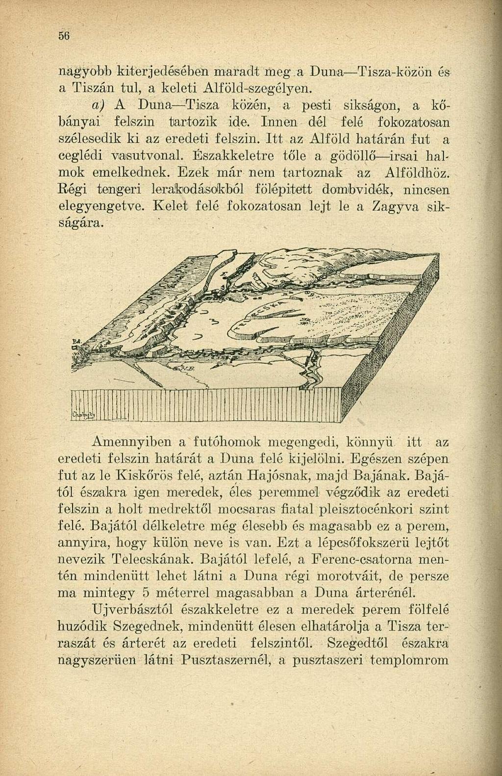 nagyobb kiterjedésében maradt meg.a Duna Tisza-közön és a Tiszán tul, a keleti Alföld-szegélyen. a) A Duna Tisza közén, a pesti síkságon, a kőbányai felszín tartozik ide.