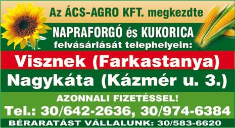 Az Év Fája Magyarország 2018. verseny július 9-től indult, és október 8-ig tart.