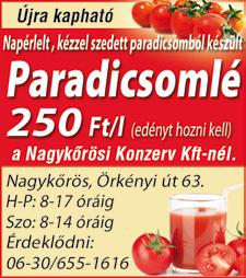 Ennek módja, hogy a szavazó belép az e-mail fiókjába, ahová kap egy levelet egy aktiváló