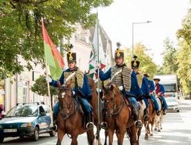 : 06-30/723-6890 ORSZÁG FÁJA VERSENY - DÖNTŐBEN A CEGLÉDBERCELI AMERIKAI KŐRIS