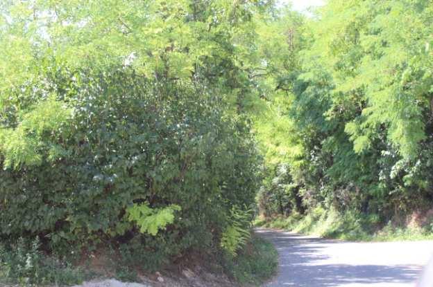 úthálózatának.