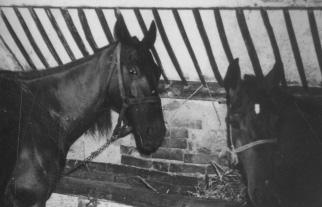 R rács fn 1. nyílásokat elzáró, területrészeket körülvevő léckerítésszerű hézagos szerkezet; ablakrács. 2. a jászol fölött levő, fekvő létraszerű szerkezet a szálastakarmány részére.
