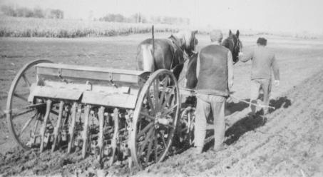a termőhozók. Közepin is vannak vesszők, de azt igencsak le szokták szedni. Ö.: vesszőkerítés, vesszőkosár; fűzfavessző, palavessző vet i: 1. dob. 2. állatnak ennivalót lök.