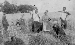 ár3 fn: szúró, lyukasztó szerszám. Vót szegezőár meg tűzőár meg mindenféle kisebb, víknyabb, vastagabb ár. A talpallásnak igenyes, kis, víkony ár kellett, hogy lehessen rántani a fonalat.