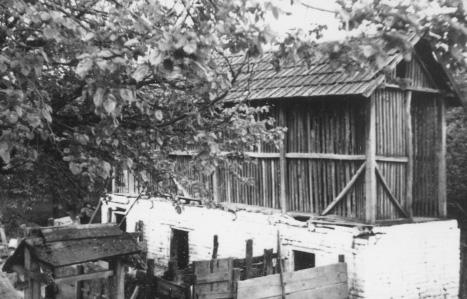 hordják. Minden reggel a három górés, meg aki megyen ebídír, meg a bandagazda maradt bent. A kocsisnak mink, a górésok görény, giríny fn: baromfiakban kárt tevő ragadozó állat.