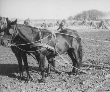 Sz.: Asszony hajt, eső lesz. 4. folyamatos mozgásban tart. Néha fél órát is hajtottuk neki, mer szerettem hallgatni a meséjét. 5. gépet, szerkezetet működtet.