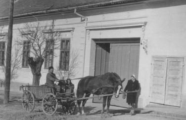 hasgat hasogat hasló fn: a hám összecsatolására szolgáló, a ló hasát átfogó szíj. A hátszíj meg a haslóval van körülvíve a ló. hasogat, hasgat i: 1. több darabra hasít.