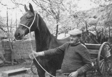 öreg Sós István bácsi, meg az öreg Banai, meg Majlát Dávid bácsi, azok hordták, de azok azt a kík kötőt vitték. Kík kötő vót előttük. 2.