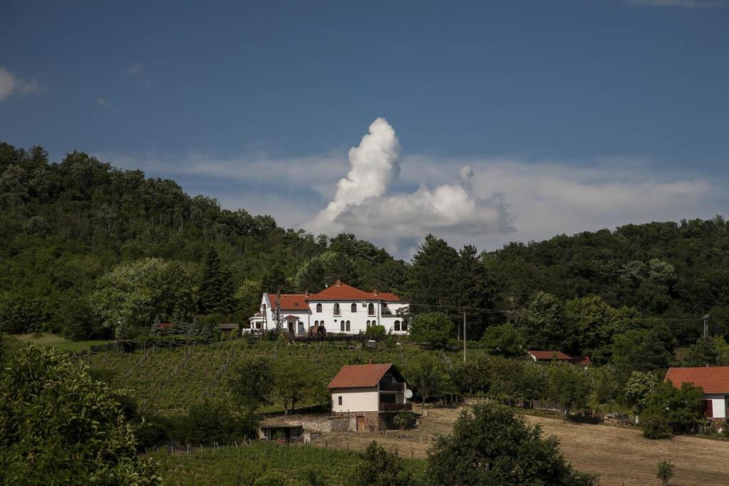 Szigliget kiemelkedő értéke az Antal-hegy déli oldalán álló MEDOSZ-üdülő.