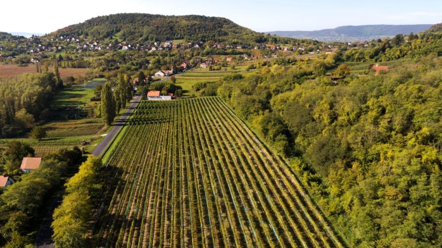 a Tapolcai-medence a Tapolca-patakkal és a Balaton Natura 2000 oltalom alatt áll. Fokozattan védett természeti értéke a Vár-hegy, valamint a Majális- és Hálástető térsége.
