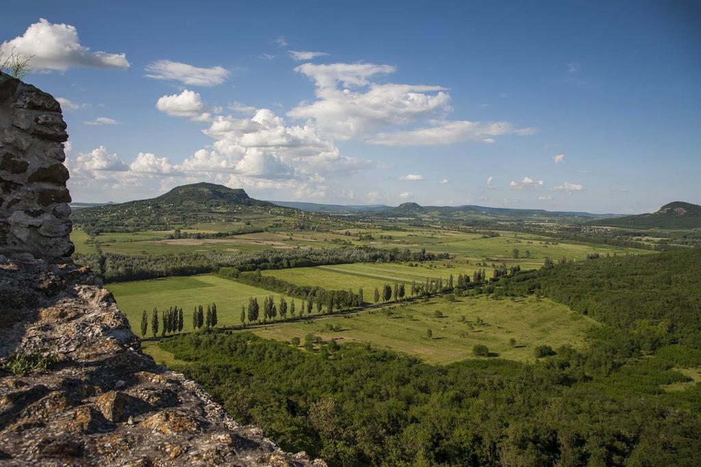 A Várhegy déli oldalán húzódó 80-100 cm magas bazalttufa támfalak szintén a szőlőműveléshez kapcsolódóan alakultak ki.
