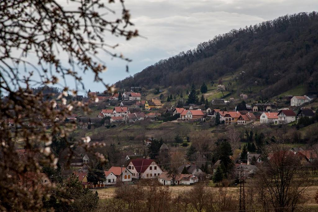 3. ÜDÜLŐTERÜLET Az üdülőterület Szigliget déli és keleti részén, a Balaton és a Majális-tető közötti sávon, illetve a Réhelyi út -