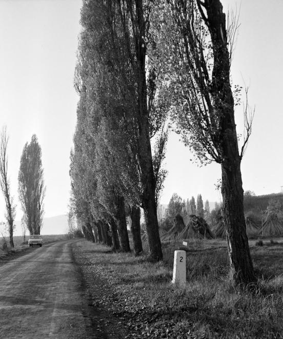 visszavette a bencésektől, s más birtokokat adott nekik cserébe. Ettől az időtől kezdve a vár, valamint Szigliget sorsa szorosan összefonódott.