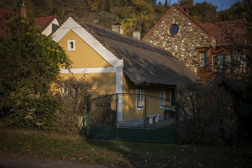 A Kamonkő és a Rókarántó
