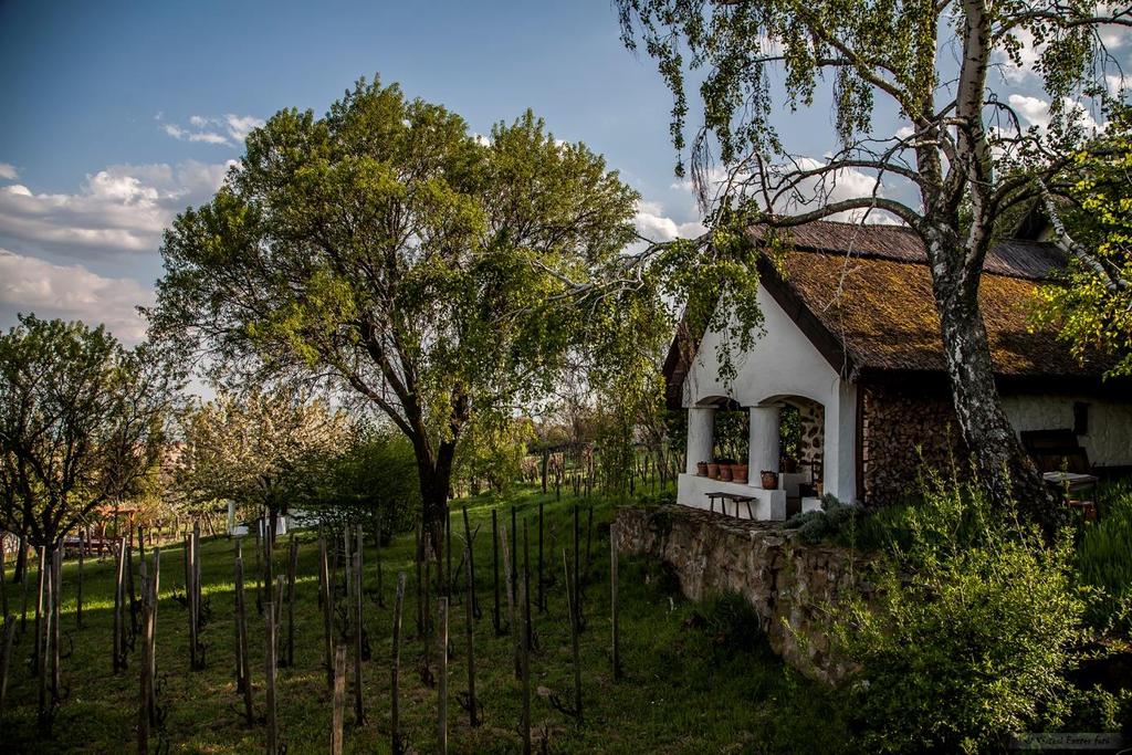 Rókarántó