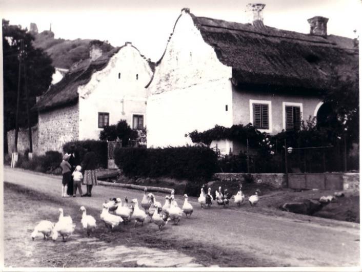 egyrétegűek, zsalugáterrel