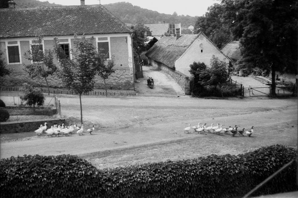 Kossuth utcai látkép 1962-ben, Forrás: fortepan.hu (Képszám: 105910) Az Öregfalu jelentős középületei az egykori Lengyel kúria, a volt Eszterházy kastély és a római katolikus templom.