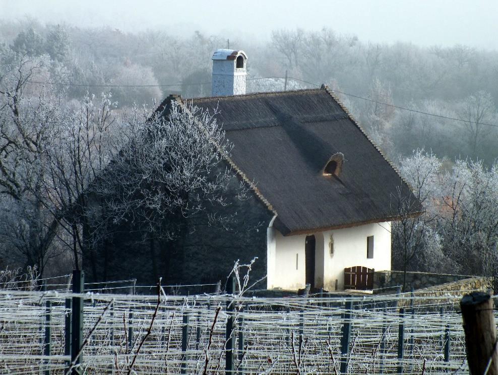 Présház, Fenye-hegy 42. /965. hrsz.