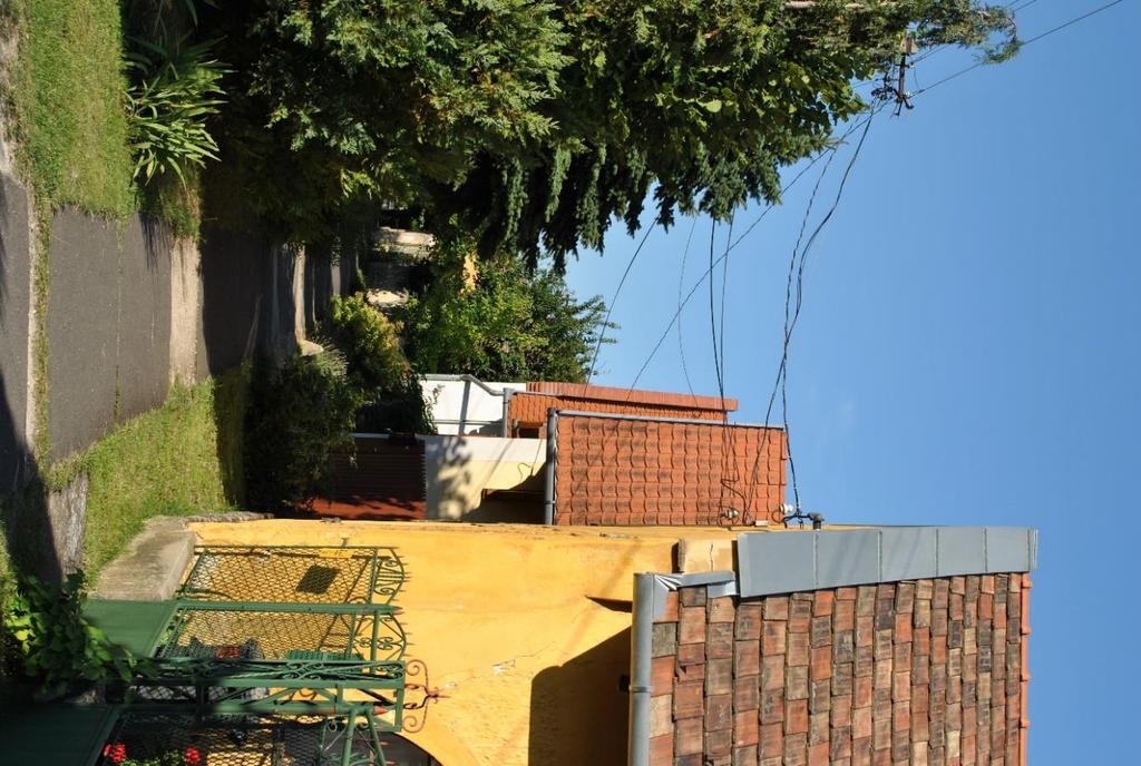 Valaha, a helyiek elmondása szerint óriás hársfák álltak itt, melyeket az építés folyamán kivágtak.