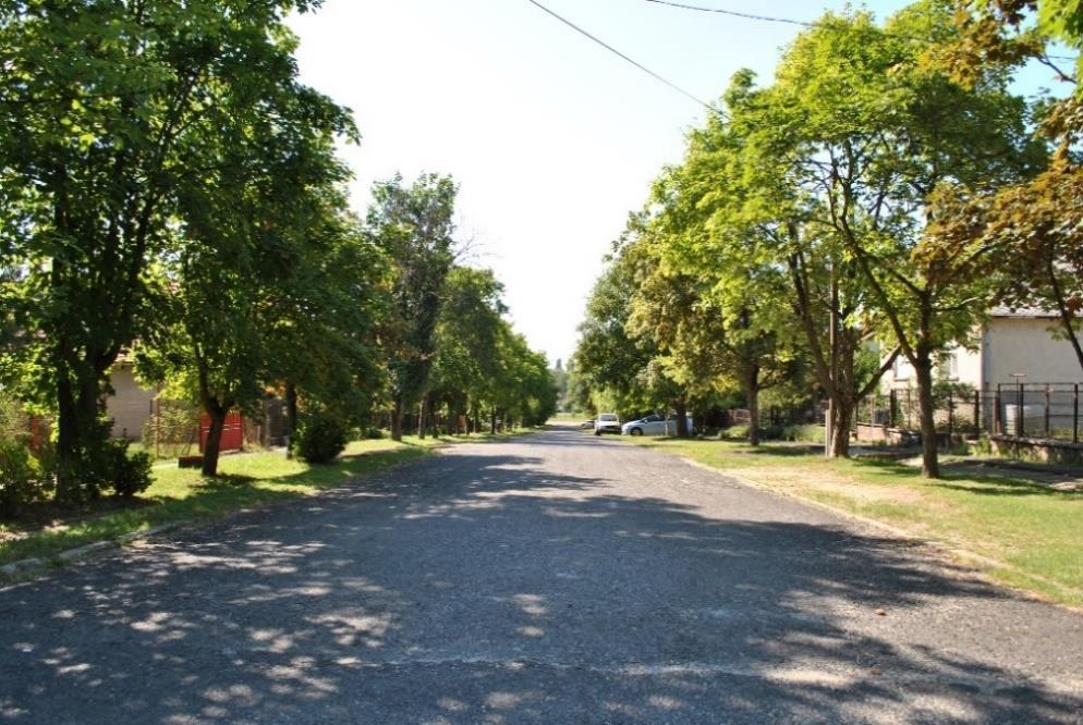 Nevét onnan kapta, hogy helyén, valamikor 10 ha nagyságú levendulamező volt.