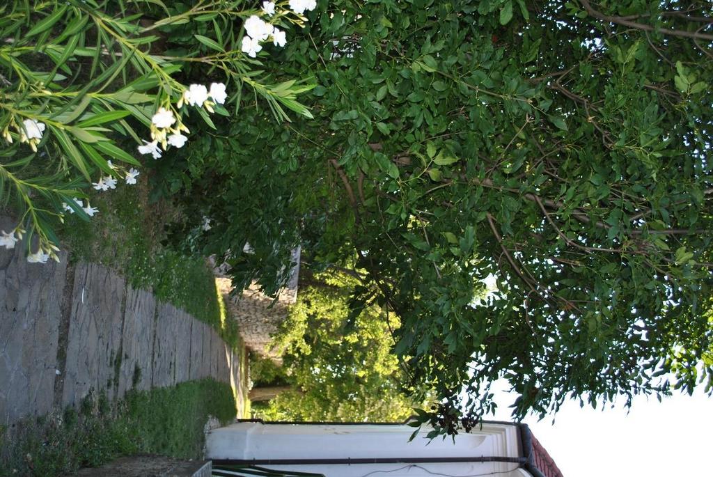 Hirdető táblák, reklámok: A település területén szerencsére, kevés óriásplakátot, és kisebb reklámfelületet találunk.