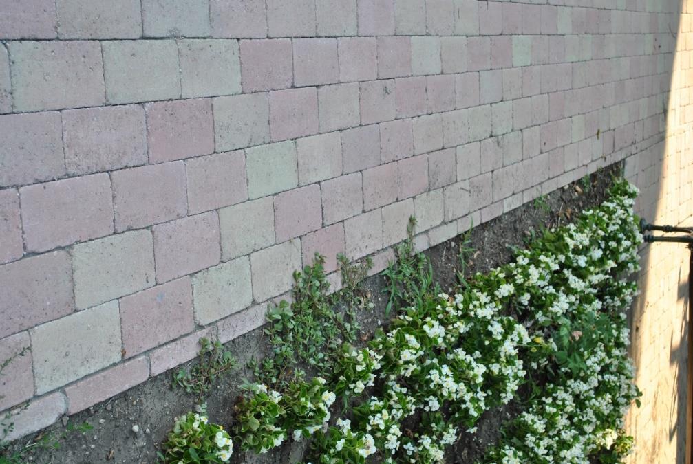 Az ingatlanokra bejelentett gazdasági tevékenységeket hirdető tábla elhelyezhető a kerítésen, vagy az épület utcai homlokzatán. Nagysága max. 1 m2.