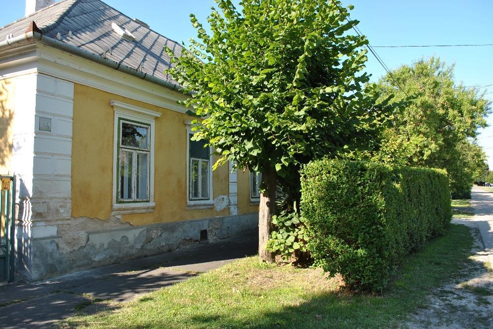 Első sorban a hagyományosan használt fehér színt