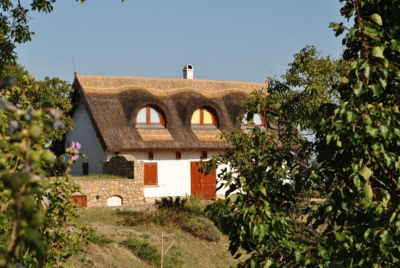 A szőlőhegy átalakulása, mindig is fájó pontja volt, és ma is az az itt élőknek.
