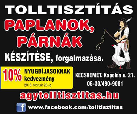Lakásban alkalmazva a levegő frissességét és tisztaságát hozza be a térbe.