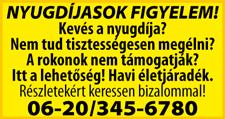 Pl: Elza-Anna, szuperhősök, állatjelmezek, parókák, kiegészítők gyerekeknek, felnőtteknek. Kecskemét, Izsáki 56/a, www.facebook. com/andi.