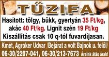 :06-70/284-2167 VEGYES VÁSÁROLNÉK lakatos, bádogos gépeket, élhajlítót, fúrógépet, gépsatut, üllőt, CO hegesztőt, műszerészesztergát, marógépet, kompresszort, invertert, kis gépeket.
